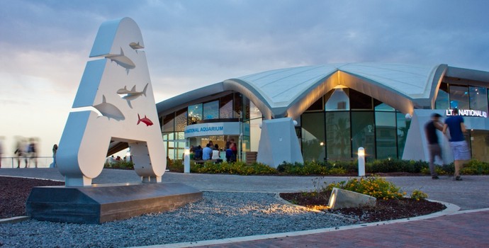 Experience the magic of the Ocean surrounding us! Spend a day at Malta National Aquarium